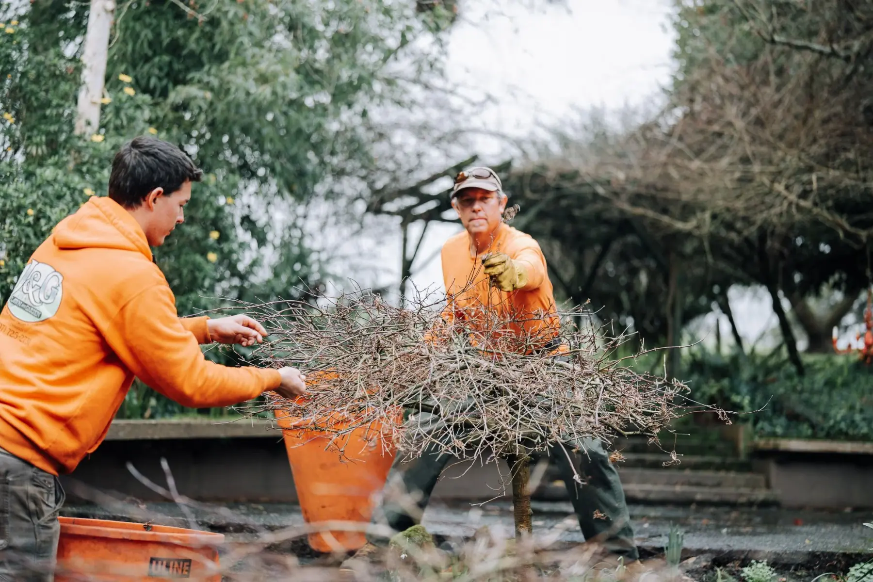 Pruning & Tree Care in Humboldt County by J&G Lawn & Garden